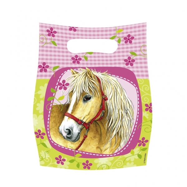 Sachets Anniversaire Charmant Cheval