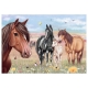 Puzzle Chevaux 100 Pièces Miss Mélody